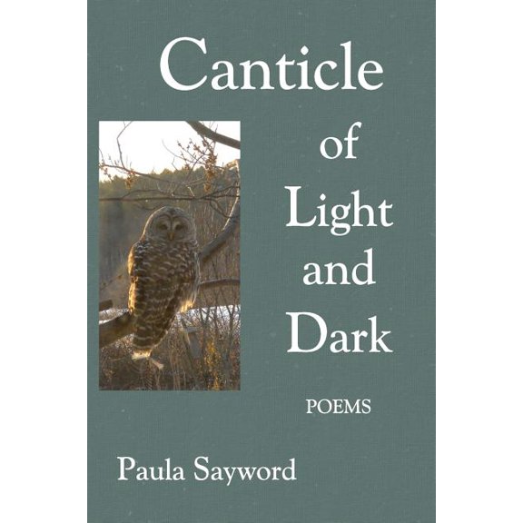 Canticle of Light and Dark (Paperback)