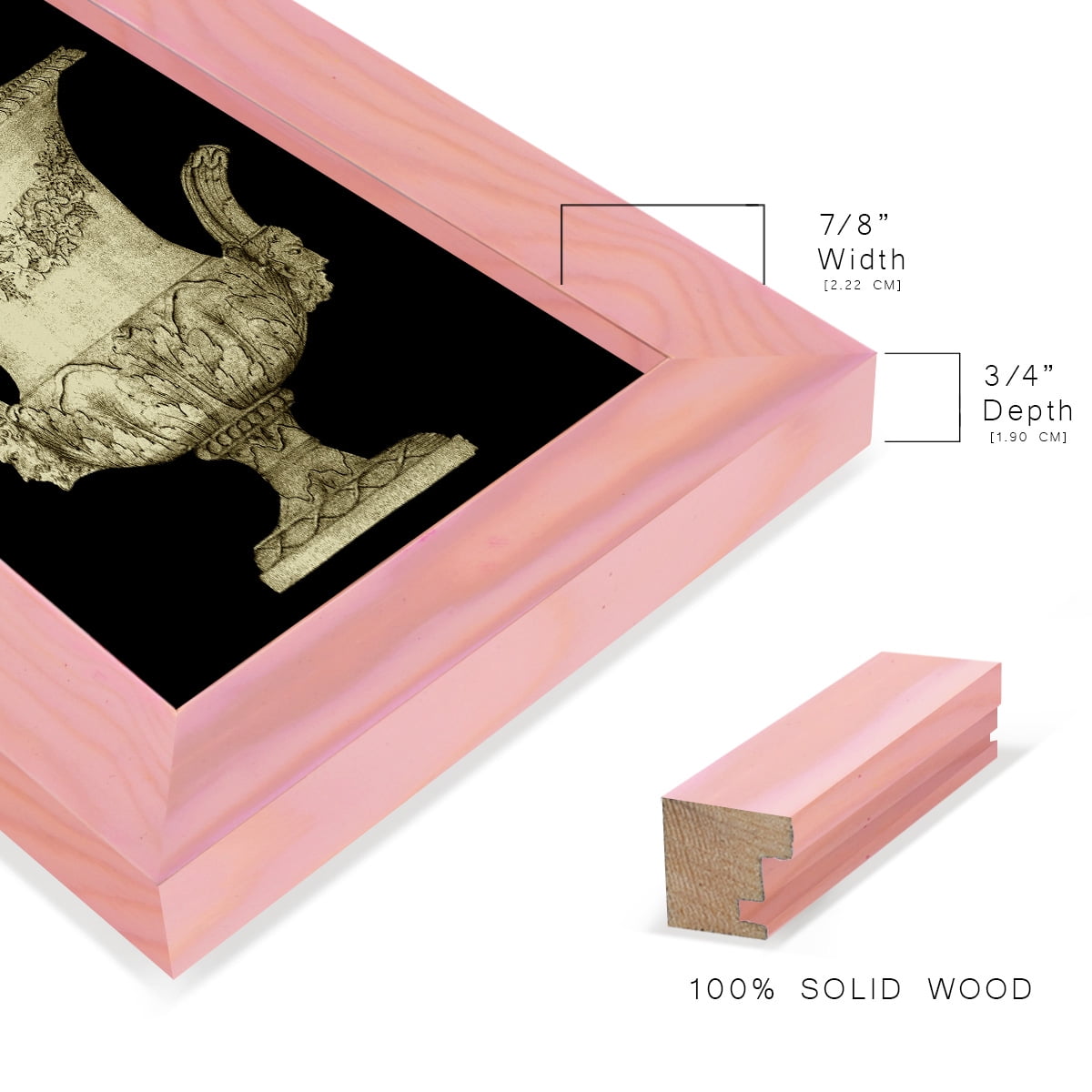 Garden Antiquities III -Framed Print w/glass-Sunset Pink