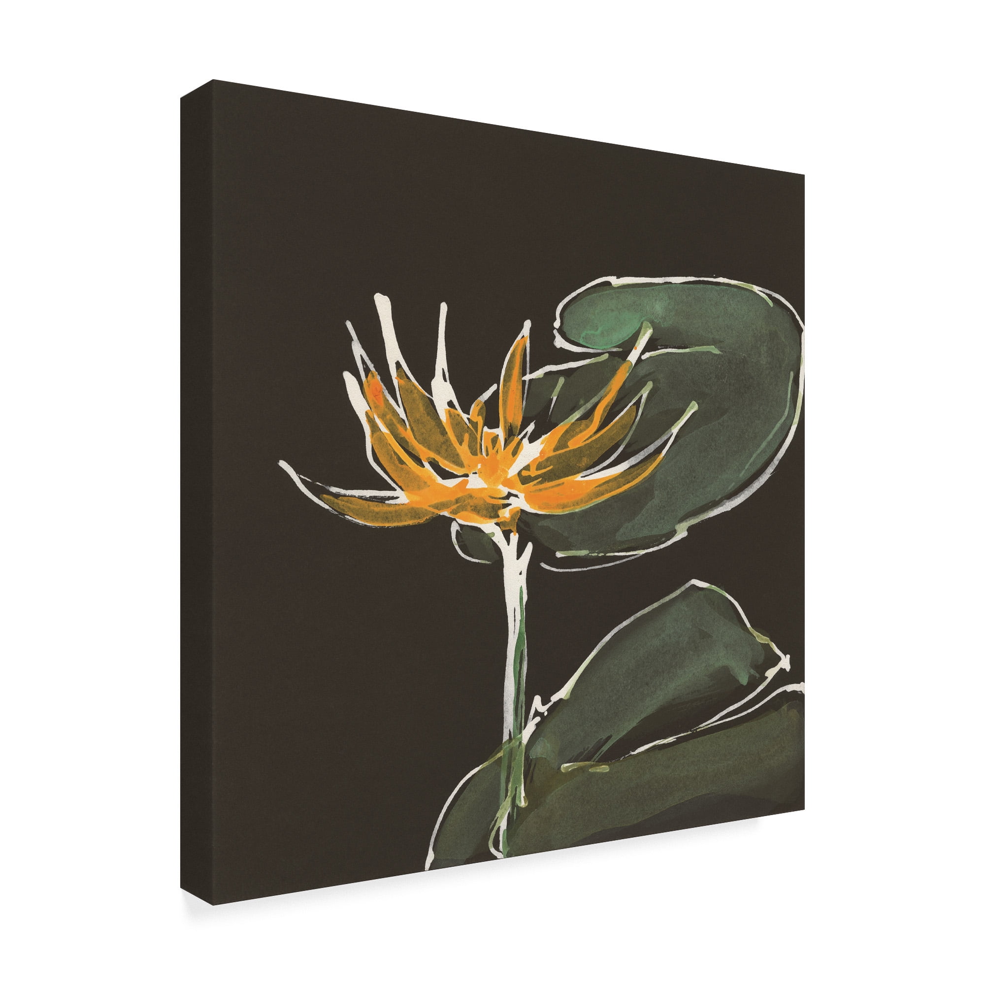 Trademark Fine Art 'Lily on Black I' Canvas Art by Chris Paschke