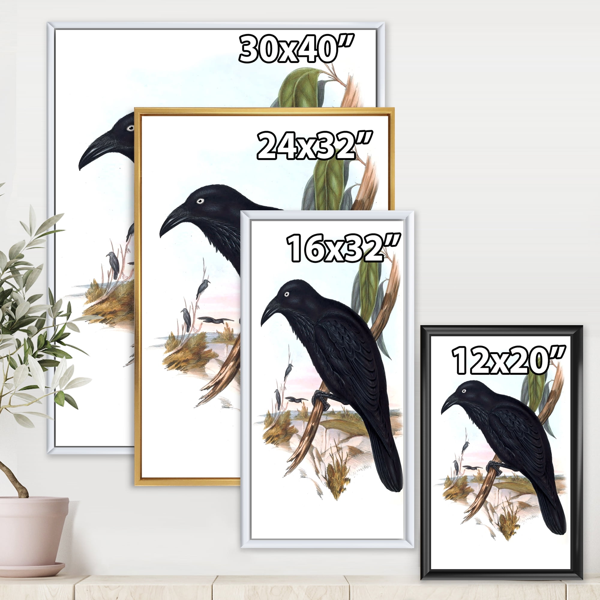 Ancient Australian Birds VI 30 in x 40 in Framed Painting Canvas Art Print, by Designart