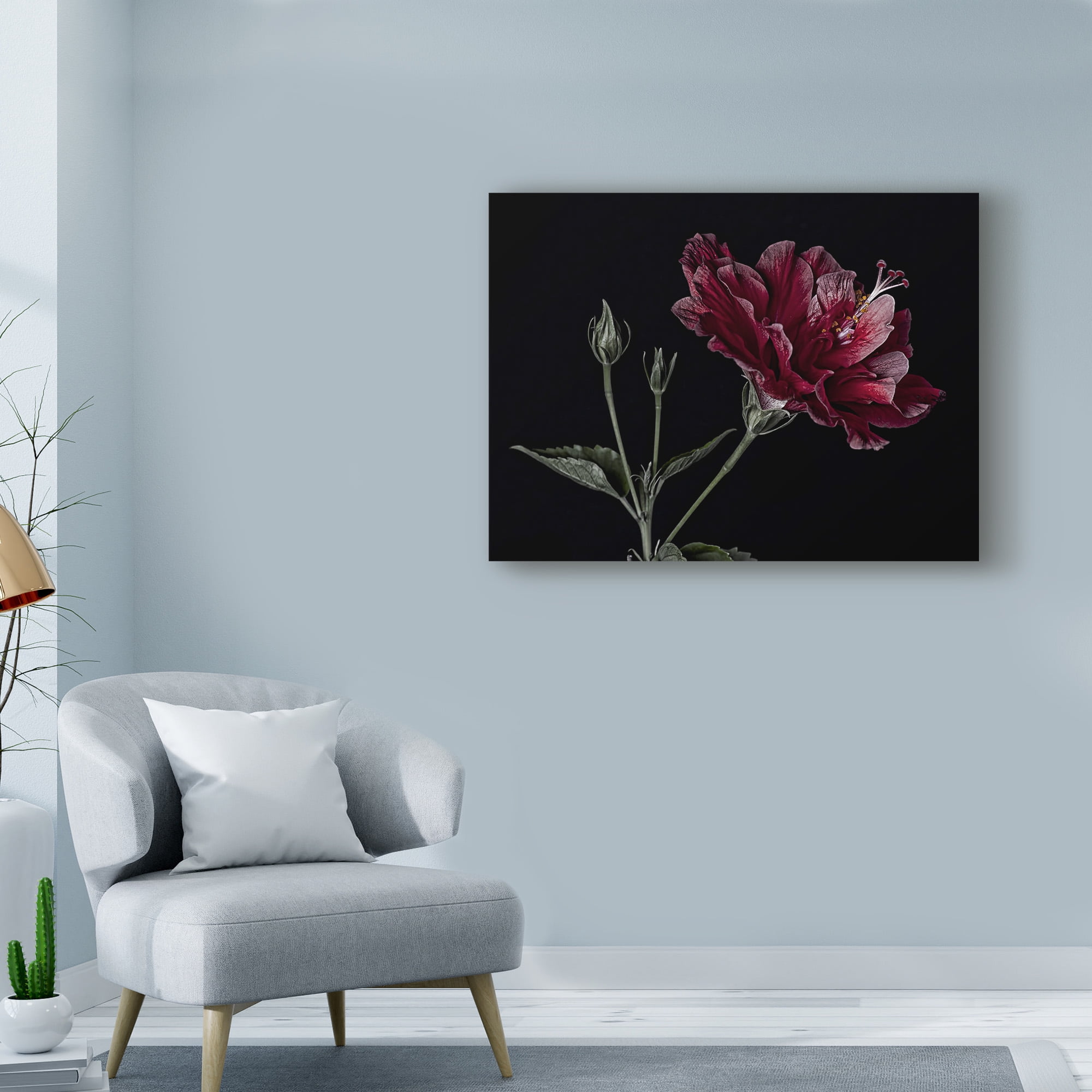 Trademark Fine Art 'Hibiscus Reds' Canvas Art by Lori Hutchison