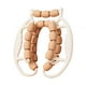 thumbnail image 1 of Rodillo de masaje para musculación, abrazadera circular para codos, piernas y pantorrillas. Marrón, 1 of 8