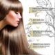 thumbnail image 3 of 3pcs Eganic Natural Hair Growth Oil,veganic Hair Growth Oil,veganic Hair Oil For Dry Damaged Hair, 3 of 3