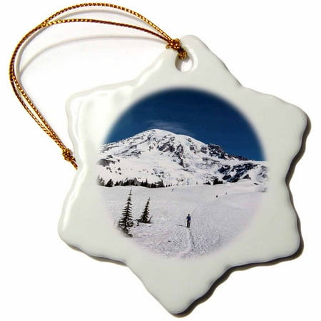 3dRose USA, Washington, Mt Rainier. Hiker on trail to Camp Muir - US48 MFR0039 - MFR - Snowflake Ornament,