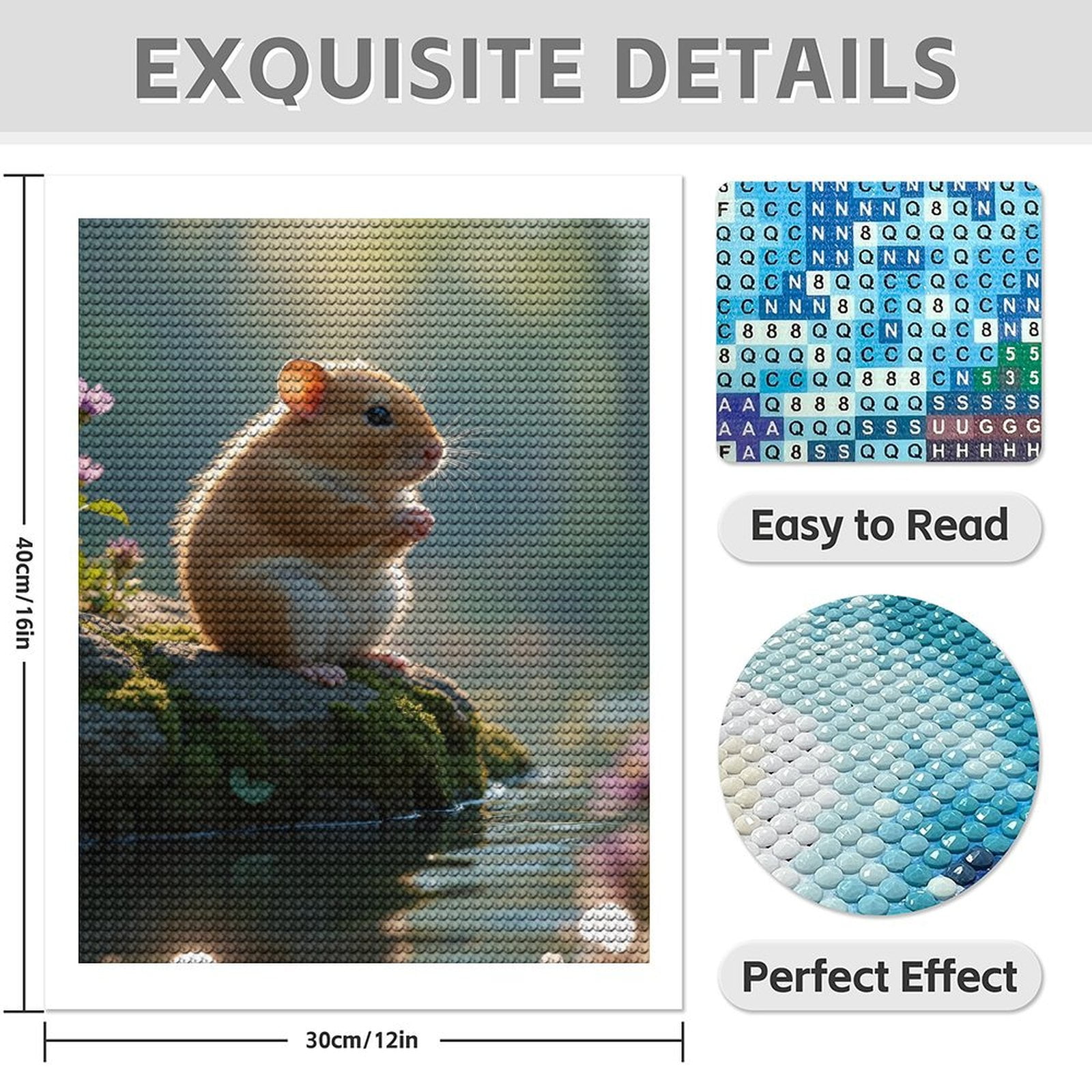 Diamond Art Kit for Adults, Peaceful Hamster On Mossy Rock Diamond Painting for Adults Beginners, 5D DIY Diamond Art Painting Kits, Colorful Diamond Painting Craft for Home Decor 12x16