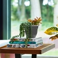 thumbnail image 5 of Bloem 6-in Ariana Plastic Round Planter 3-Pack with Self-Watering Inserts - Charcoal Gray, 5 of 6