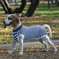 thumbnail image 4 of Traje de recuperación para perros Monos para gatos para heridas abdominales Camisa de recuperación para hombres y mujeres Traje quirúrgico cómodo para mascotas Después de la cirugía Mono para perros, 4 of 8