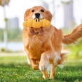 thumbnail image 3 of Juguete chirriante para perros con sonido crujiente Diseño de pan de desayuno Juguete interactivo masticable para perros y gatos Tejido suave para el aburrimiento y el juego diario, 3 of 4