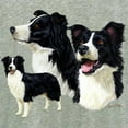 thumbnail image 3 of CafePress - Border Collie Multi - Women's Nightshirt, 3 of 4