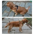 thumbnail image 4 of Arnés para perros Truelove Soft Front. Arnés reflectante antitirones con asa y, 4 of 5