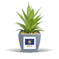 thumbnail image 1 of American State Flag Contour Montana Fake Pineapple Flower Pot Vase Mini Decor, 1 of 3
