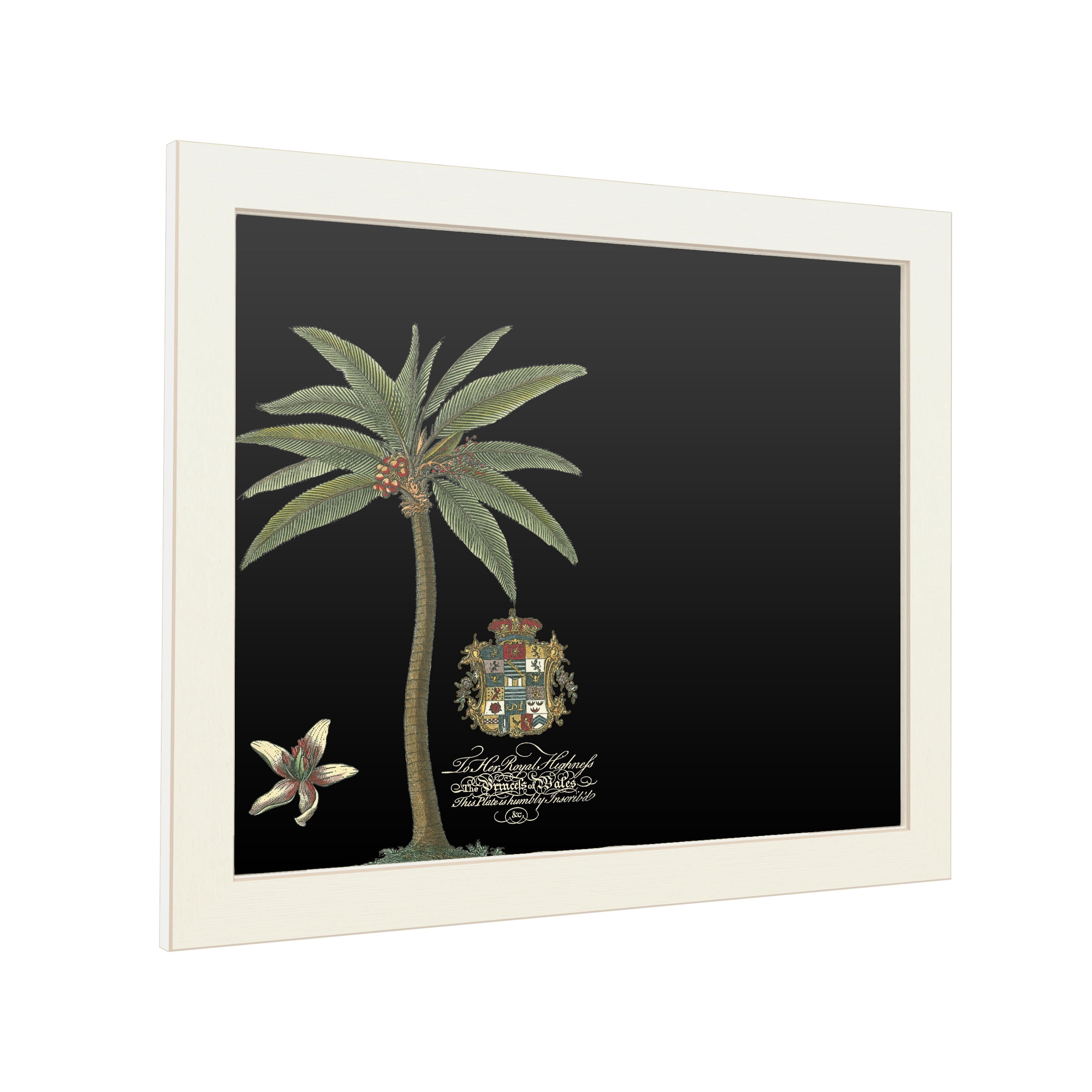 Trademark Fine Art 'Palm On Black I' Chalkboard by Unknown