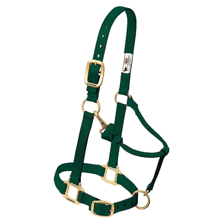 Weaver Leather Horse Halter: Adjustable Nylon for Comfort & Durability Hunter Green / Yearling