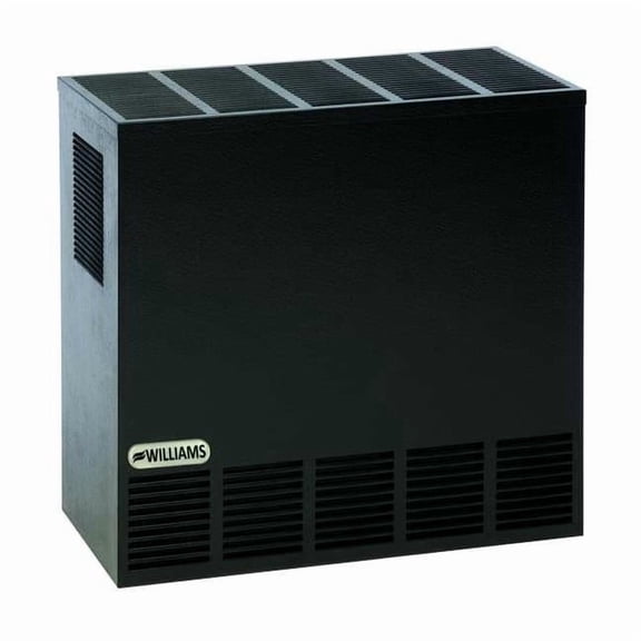 Hearth Heater, Natural Gas, Top Vent Vent Type, Gravity Convection