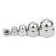 thumbnail image 1 of 5/100 Uds M3 M4 M5 M6 M8 M10 M12 M14 M16 304 A2-70 cabeza hexagonal de acero inoxidable tapa de tuerca de bellota cubierta decorativa semicírculo tuercas de cúpula ShuxiuWang 8390614755574, 1 of 1