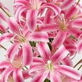 thumbnail image 3 of Flores artificiales de lirio de 27.5 pulgadas (70 cm), 30 cabezas de lirios falsos salvajes, paquete de 6 flores falsas rosas para decoración del hogar, rellenos de jarrón alto, 3 of 8