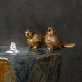 thumbnail image 4 of Melrose International Stone Bird Bath Pool Fountain 22" D, 4 of 4