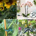 thumbnail image 5 of Clips de soporte para plantas de jardín, clips de soporte para plantas y flores suaves 4,5 x 6 cm, 20 unidades, 5 of 5