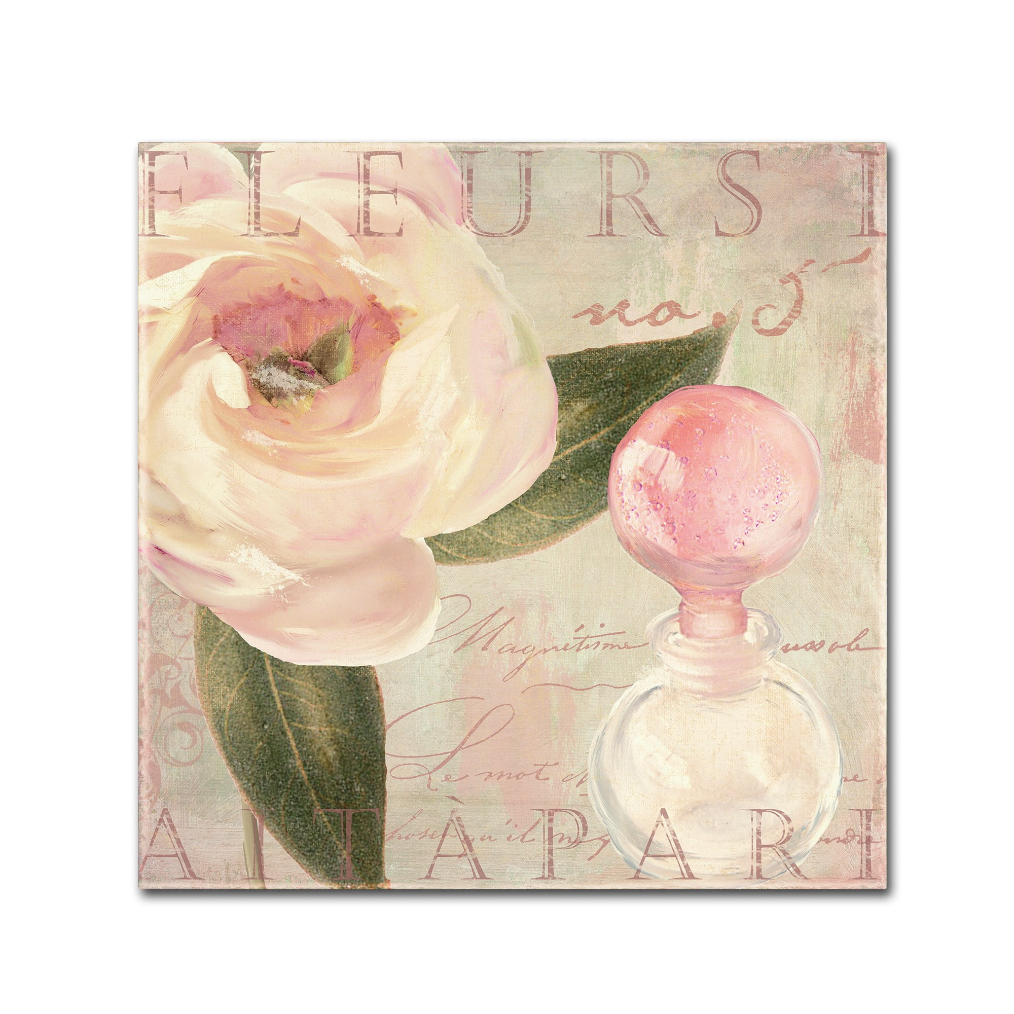 Trademark Fine Art "Parfum de Roses II" Canvas Art by Color Bakery