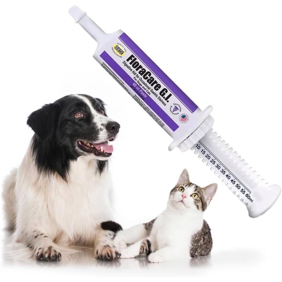 FloraCare G.I. for Dogs & Cats - Dietary Supplement Paste - Healthy Intestinal Tract, Digestion, Bowel Health - Vitamin, Protein, Fat, Fiber - 60 CC,RAPIDCARE60CC
