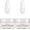 Clear, variant on Set, Polymer , for Nails (Clear 10g 2 count, 1SET)