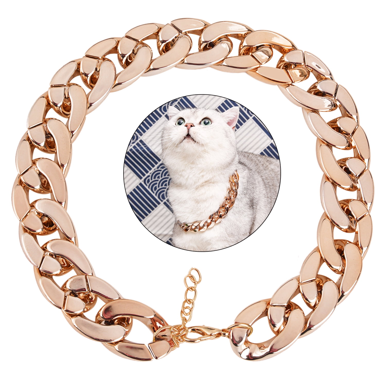 cat chain collar