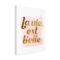 thumbnail image 2 of Trademark Fine Art 'La Vie in Pink III' Canvas Art by Grace Popp, 2 of 3