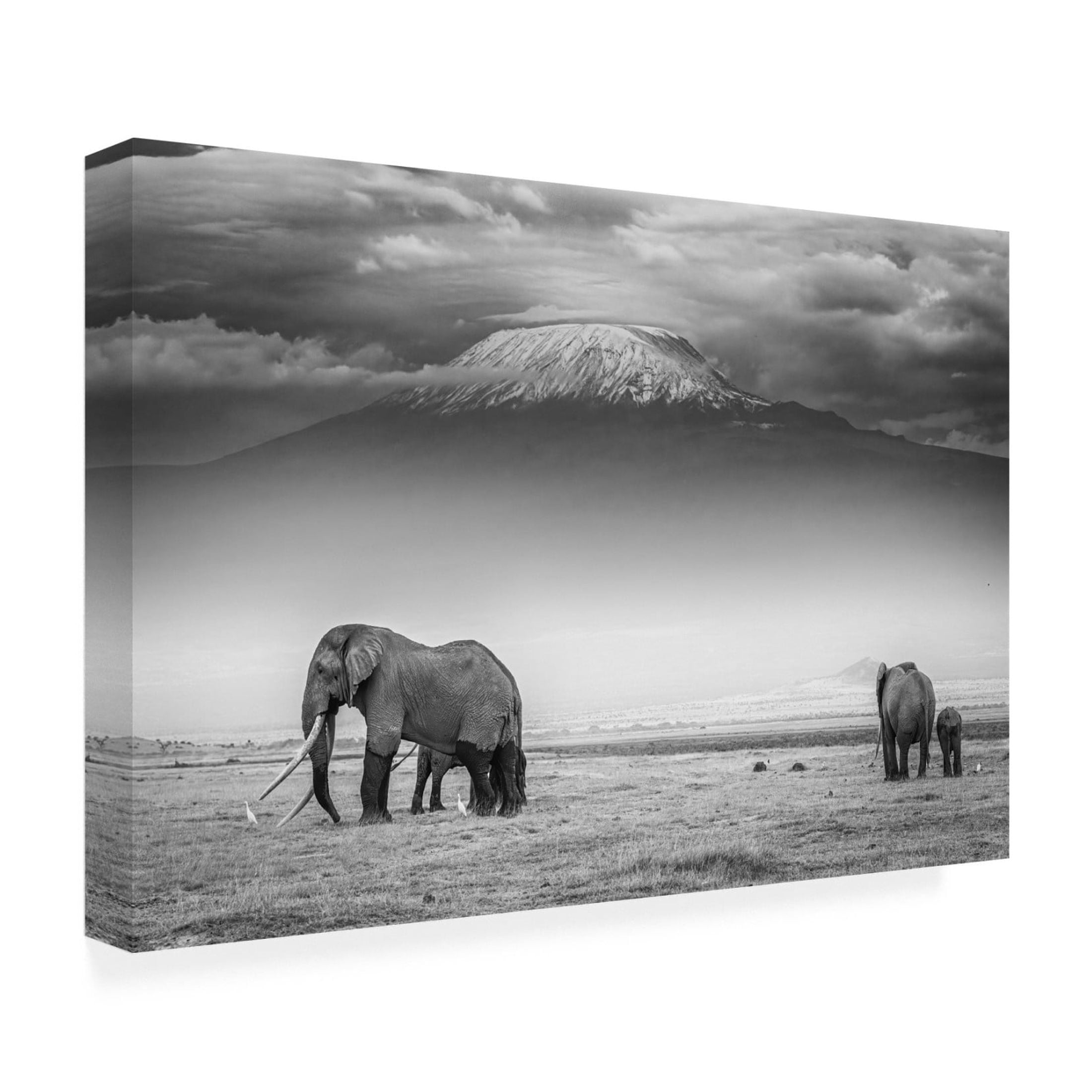 Canvas Wall Art - Jeffrey C. Sink 'The Land Of Giants' Wall Art for Living Room, Bedroom, or Office Décor by Trademark Fine Art - 24 x 16 Inches