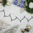 thumbnail image 2 of Set of 50 Purple LED Mini Christmas Lights 4" Spacing - Green Wire, 2 of 5