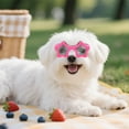 thumbnail image 6 of Protective Cat Sunglasses Adjustable Pet Goggles For Outdoor Driving And Sunny Day Adventures, 6 of 8