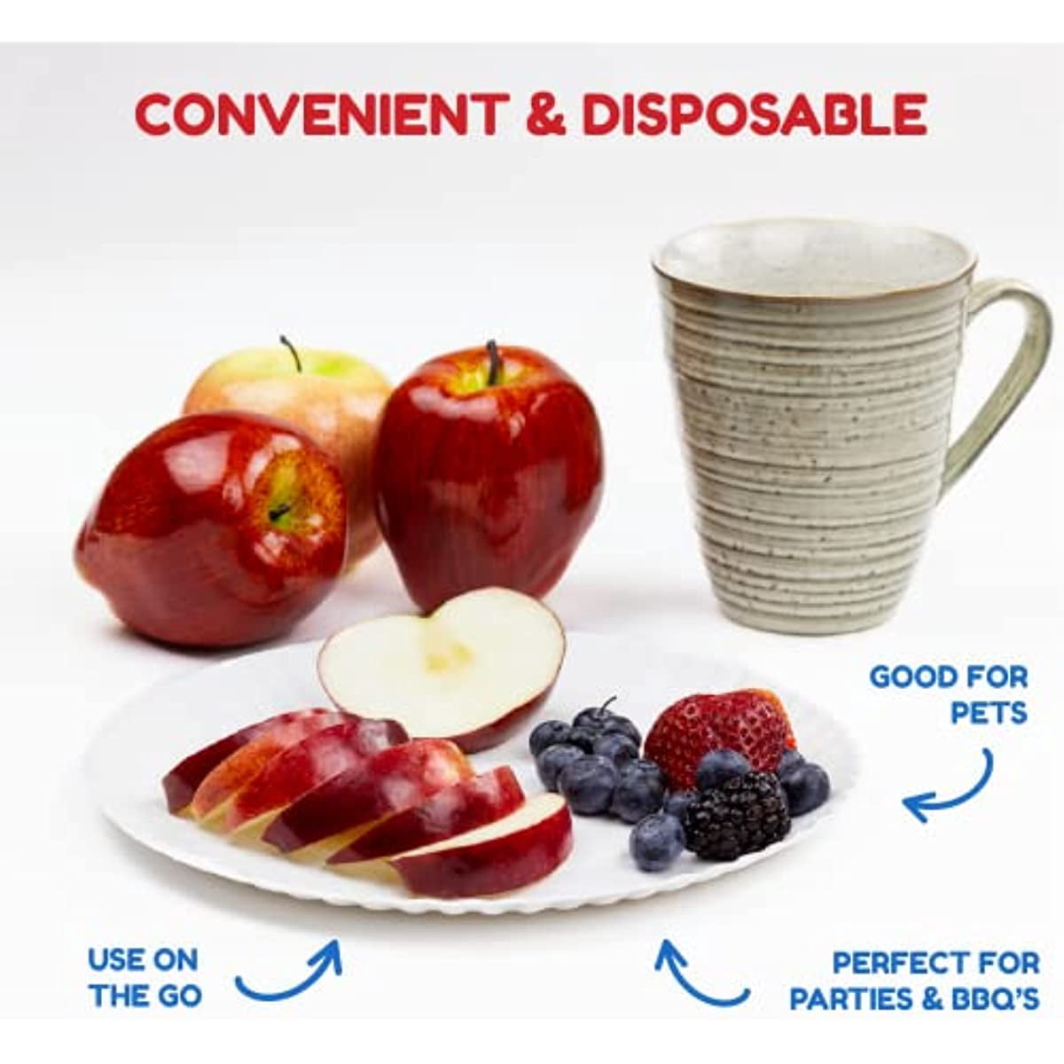 6" /9 " Uncoated White Paper Tray In Bulk, Disposable Plate, Suitable for Food, Dessert or Crafts.