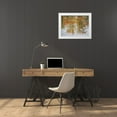 thumbnail image 3 of Gulin, Sylvia 18x15 White Modern Wood Framed Museum Art Print Titled - USA-Washington State-Fall City and fall colored trees in reflection Snoqualmie River, 3 of 4