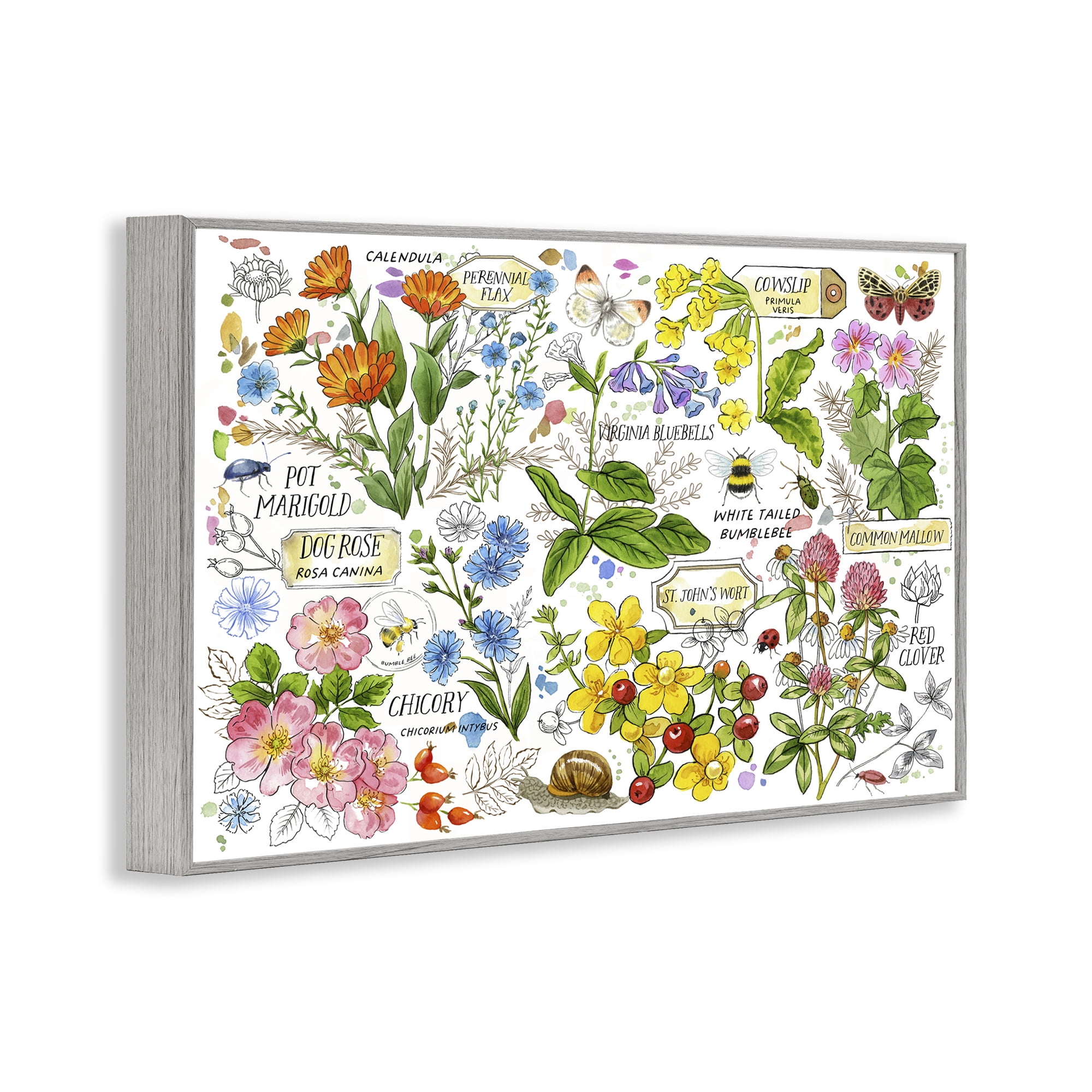 Stupell Industries Various Herbs Benefits Botanical & Floral Painting Gray Framed Art Print Wall Art, 30 x 20