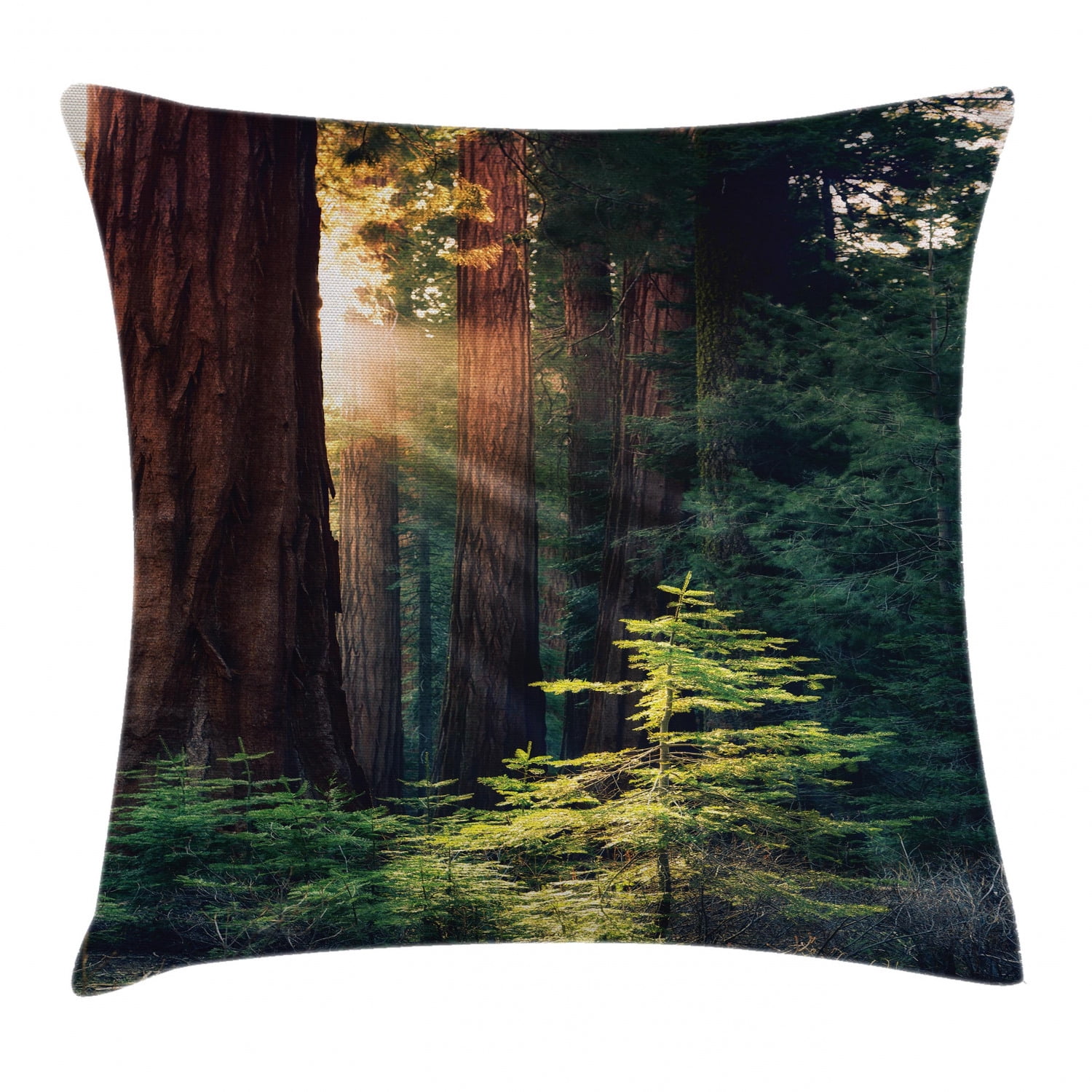 National Parks Home Decor Throw Pillow Cushion Cover, Morning Sunlight
