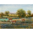 thumbnail image 2 of OToole, Tim 14x12 Black Ornate Wood Framed with Double Matting Museum Art Print Titled - Field of Cattle II, 2 of 4