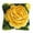 3129Yellow Rose, variant on Latch Hook Pillow Kits for Adults pillow,latch hook pillow kits,Flower Embroidery Creative Craft Home Decor Ideal for Learning Pillow Making 43×43cm/17*17in