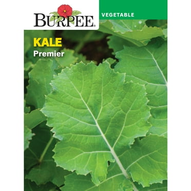 Burpee-Kale, Premier Seed Packet