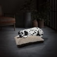thumbnail image 5 of Open Box Aspen Pet 36x27" Faux Leather Gusset Pillow Pet Bed Removeable Cover, 5 of 8
