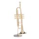 thumbnail image 1 of 1/6 Miniaturas de Casas de Muñecas Modelo de Trompeta de Metal Instrumento Musical Accesorio Sunnimix Dollhouse Miniatures Trumpet, 1 of 8