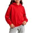 thumbnail image 2 of Sentuca Toddler Pullover Hoodies for Girls Solid Color Long Sleeve Hooded Sweatshirt Size 2-3Y, 2 of 8