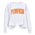 thumbnail image 5 of CAIVO Women Crew Neck Casual Letter Pumpkin Print Loose Sweatshirt Fashion Halloween Autumn Winter Tops For Daily Wear Long Sleeve Pullover Lightweight Cozy Fall Streetwear, 5 of 6
