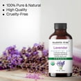 thumbnail image 3 of Majestic Pure Lavender USDA Organic Oil, 1 fl oz, 3 of 8