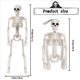 thumbnail image 5 of 3X Decoraciones de Esqueletos de Halloween, Esqueleto de Plástico Articulado, Esqueleto de Cuerpo Completo con Articulaciones Móviles, 5 of 5