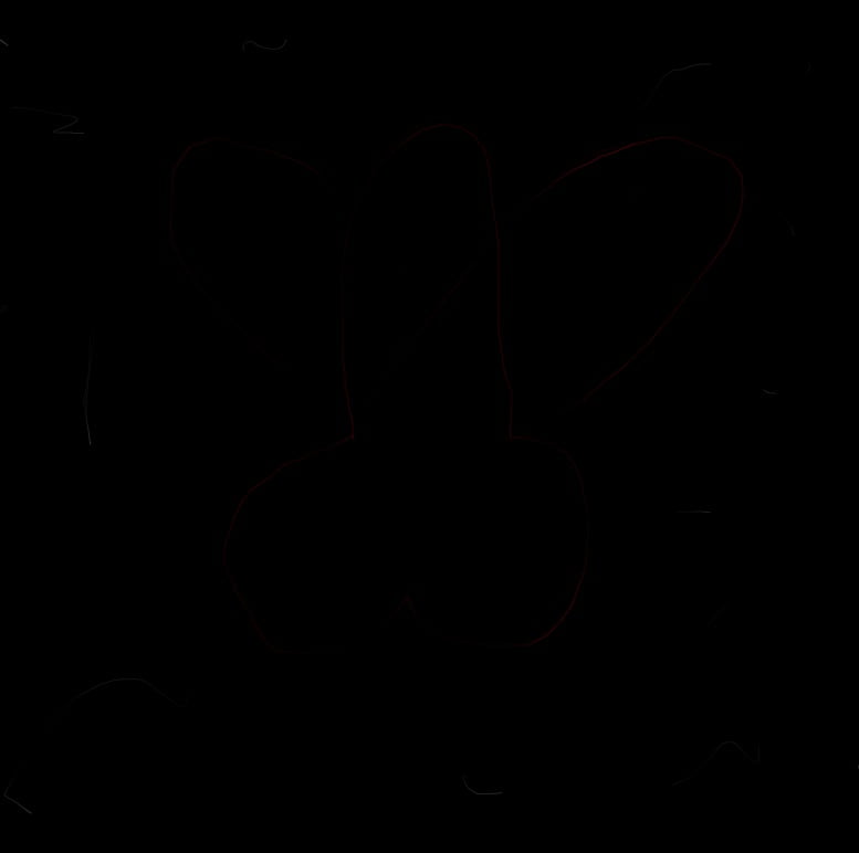 أسود