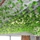thumbnail image 5 of Plantas de Ratán Verde y Hojas de Uva Simuladas Onlyliua para Decoración de Techo, 5 of 7