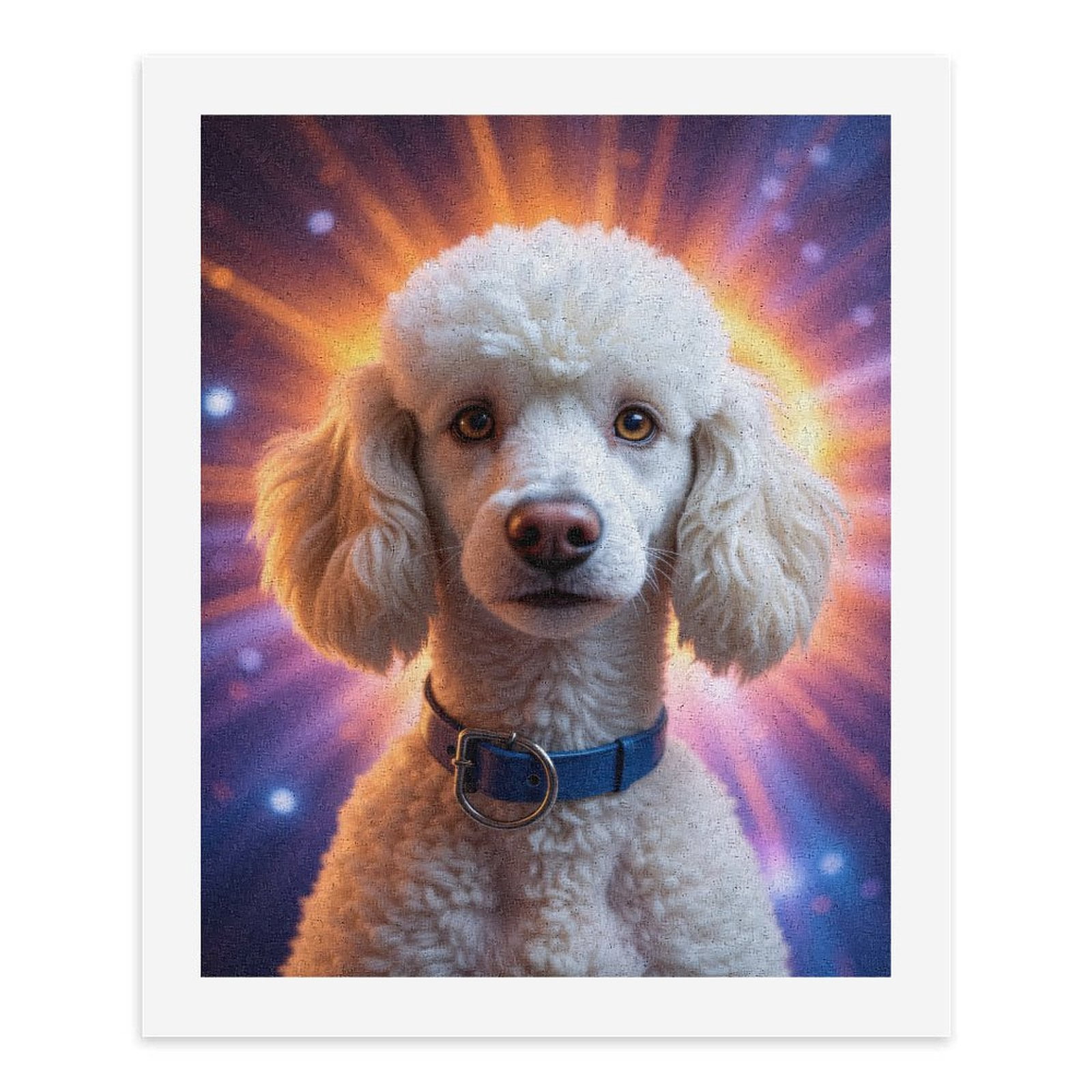 Paint by Numbers Kit for Adults, Radiant Poodle Portrait With Blue Collar Paint by Numbers, Easy Paint by Numbers Kit for Adults Beginner, DIY Adult Paint by Number Kits on Canvas, 12x16in Home Decor