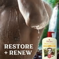 thumbnail image 6 of Old Spice Men's Body Wash Moisturize with Shea Butter, All Skin Types, 30 fl oz, 6 of 12