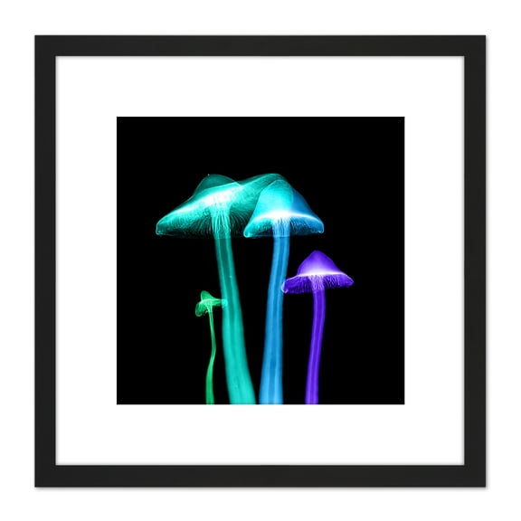 Schwartz NJIT Transparent Mushrooms False Colour X-Ray Photo 8X8 Inch Square Wooden Framed Wall Art Print Picture with Mount