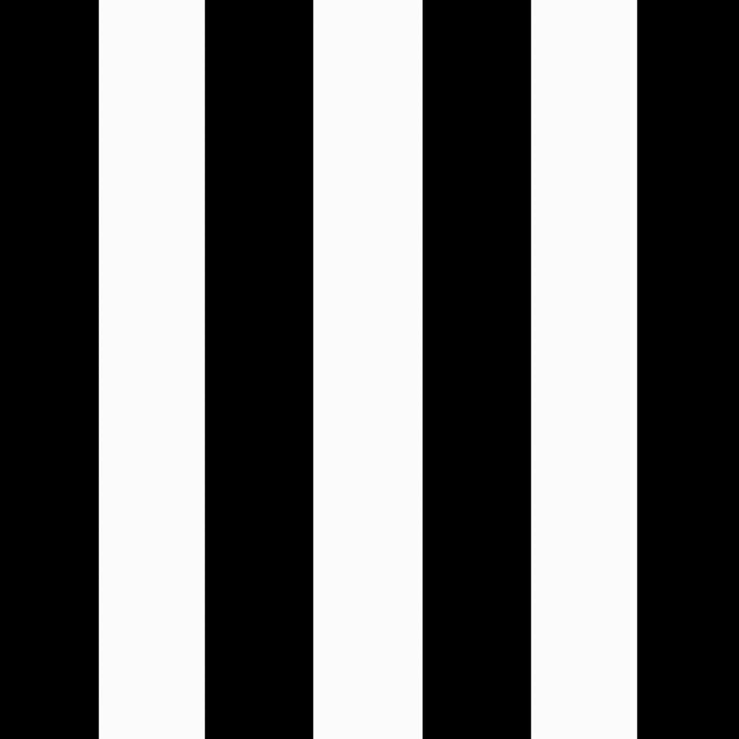 Arden Outdoor Patio Dining Chair Cushion, 20x44, Rain-Proof Seat Pad, Fade-Resistant Outdoor Cushion Black Cabana Stripe