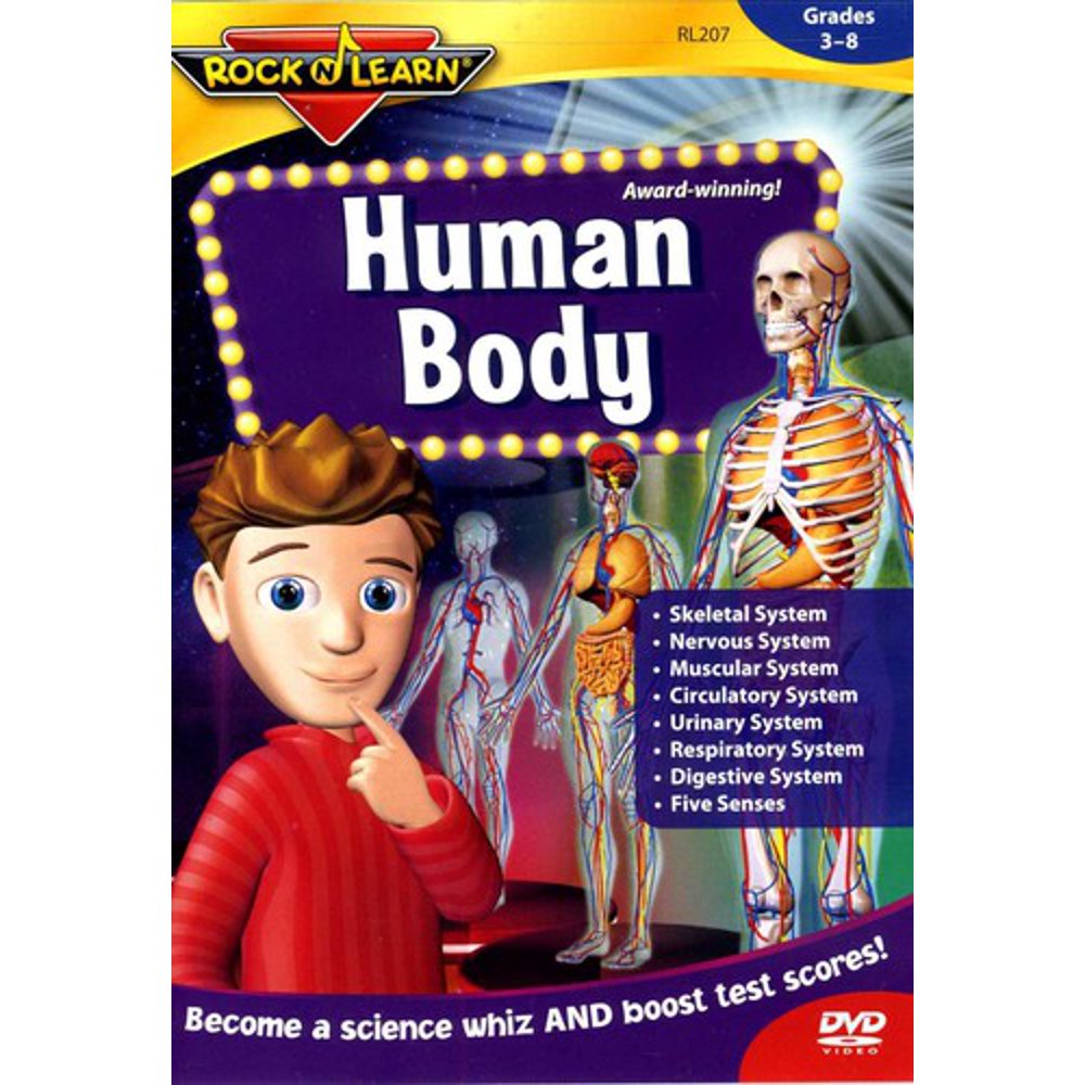 Human Body